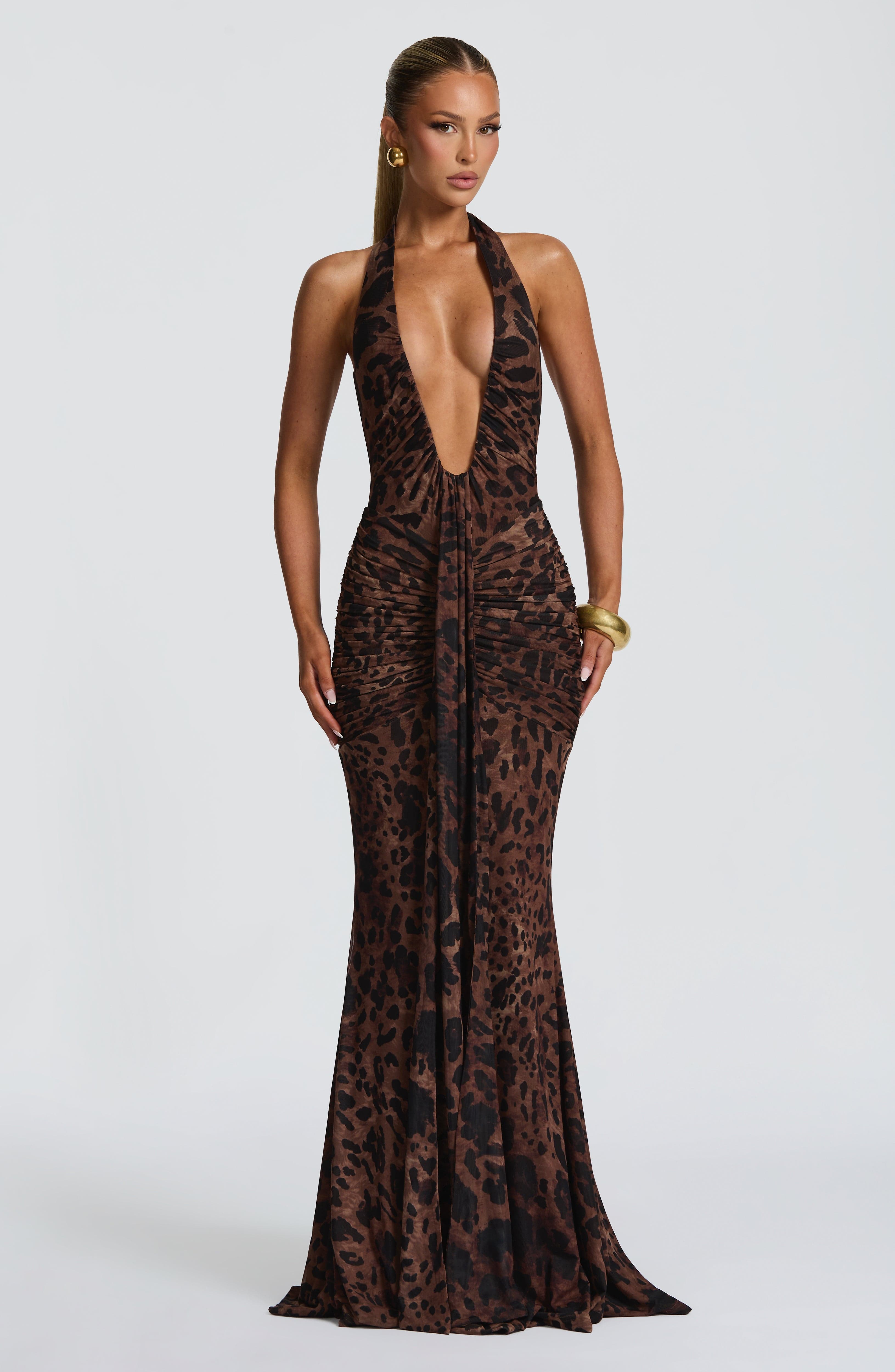 Rosetta Maxi Dress - Leopard Print – image 1